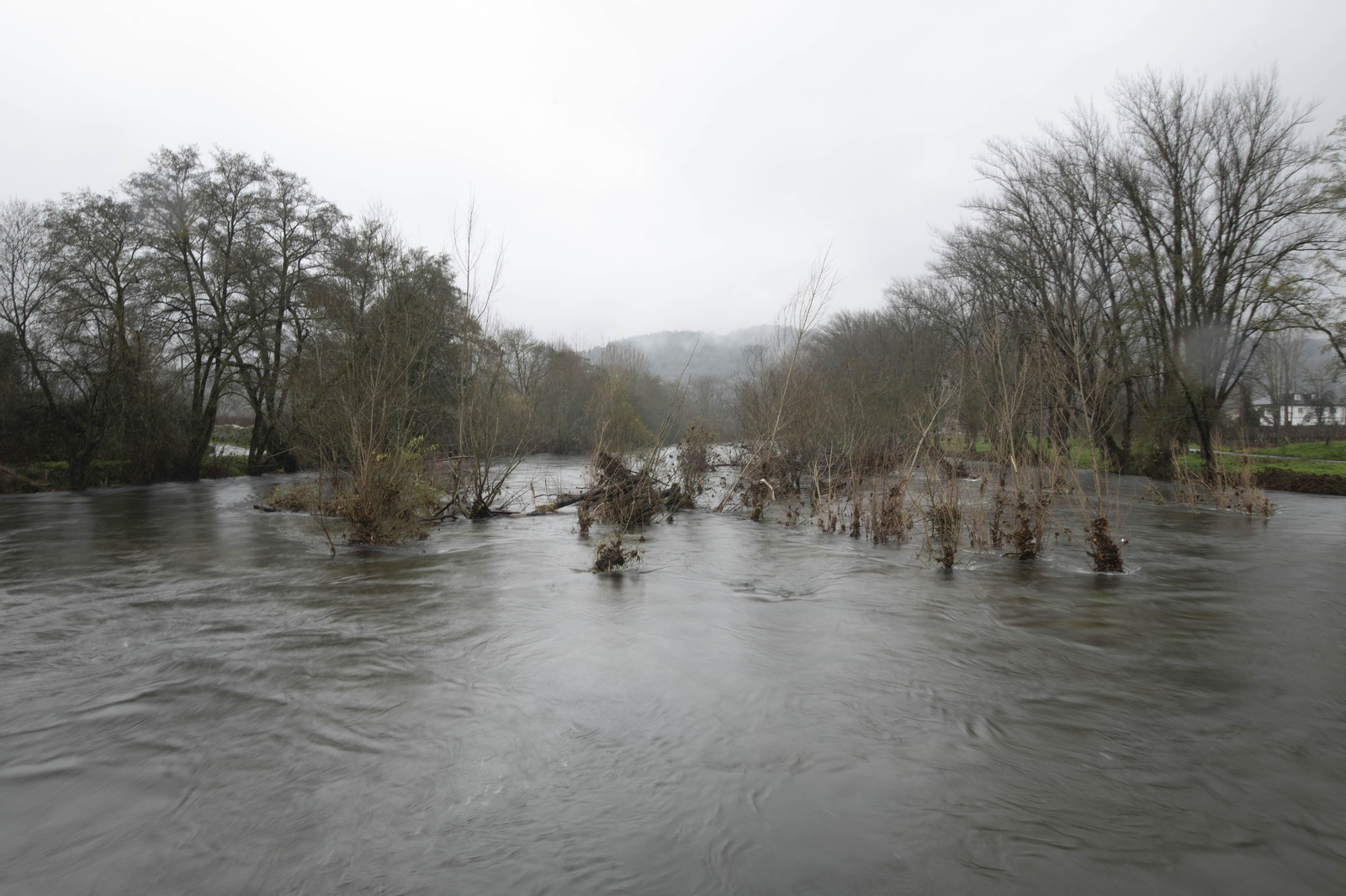 Río Avia a su paso por A Quinza (Ribadavia)

Fotos Martiño Pinal