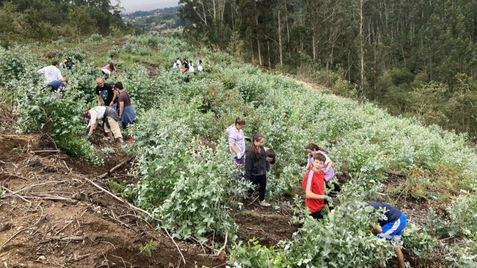 Hasta 120 estudiantes de Secundaria ayudaron a retirar especies invasoras en el monte de Chandebrito.