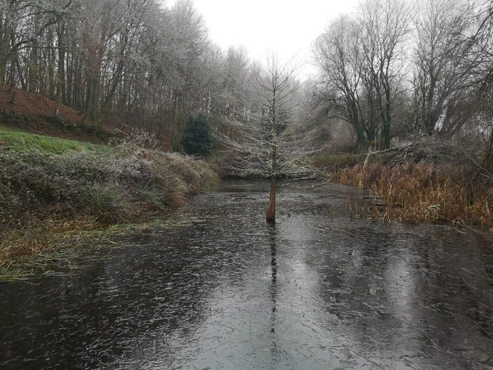 WhatsApp Image 2021-01-05 at 13.20.22_resultado