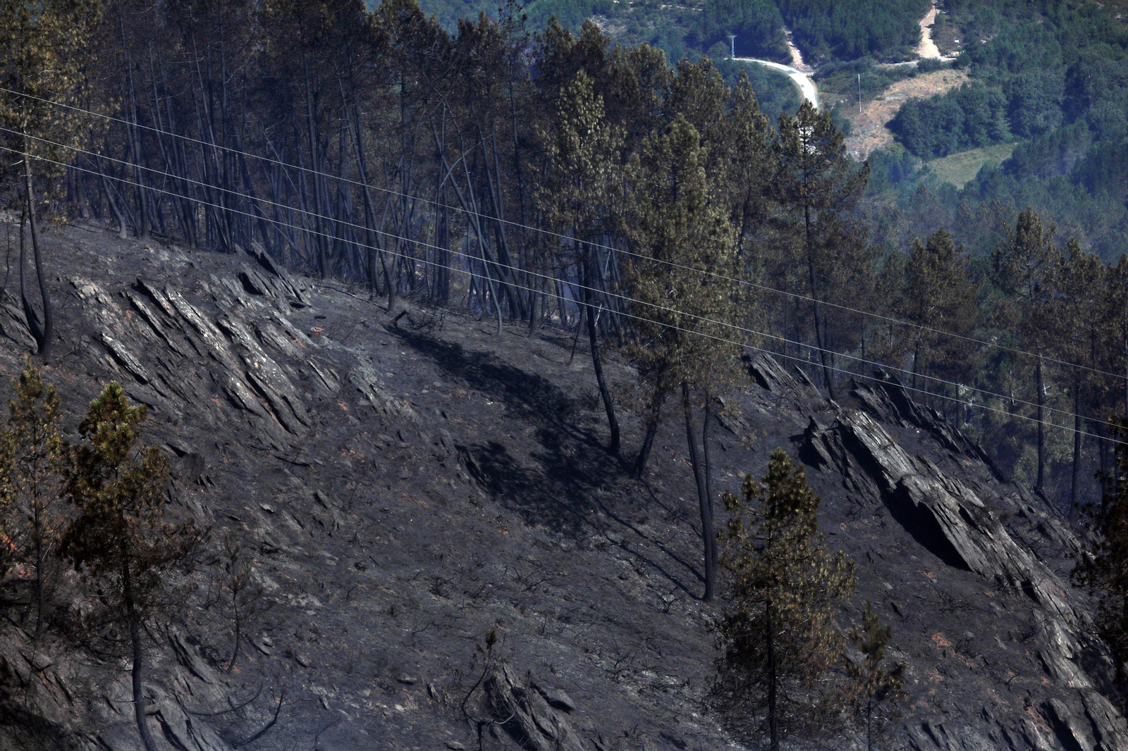 Incendio en Vilar de Barrio