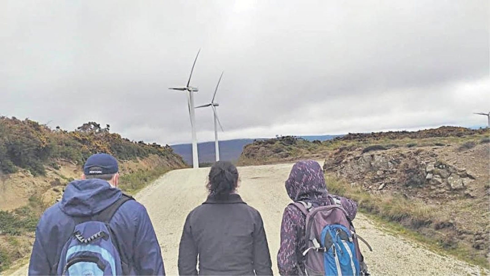 Participantes en el “roteiro” organizado en abril hasta el parque eólico del Vieiro.