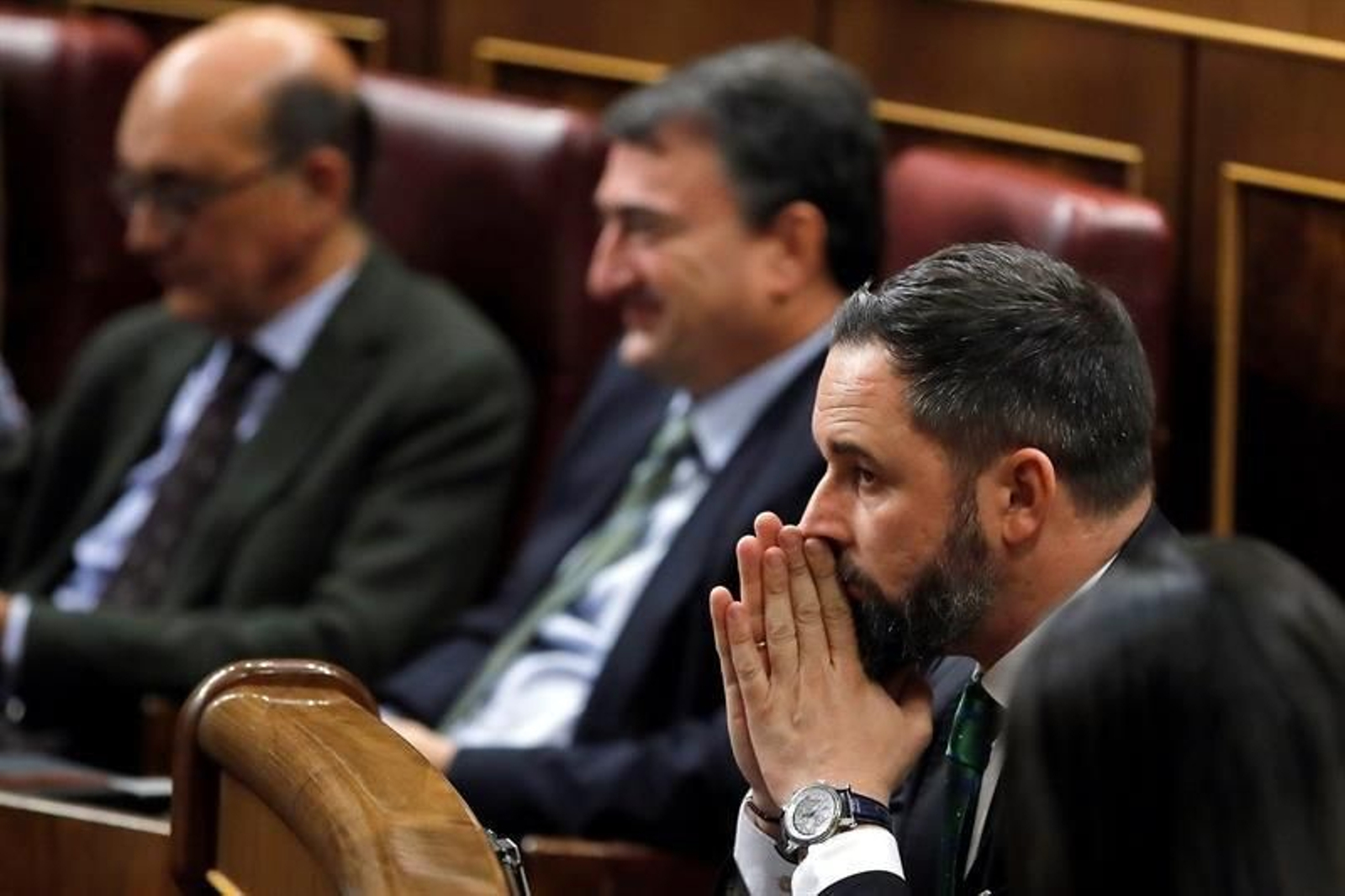 Santiago Abascal (EFE).