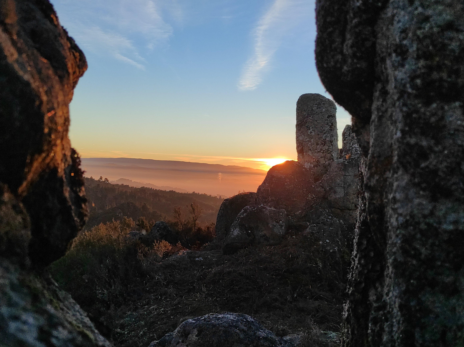 IMG_20211215_175039_1 - copia