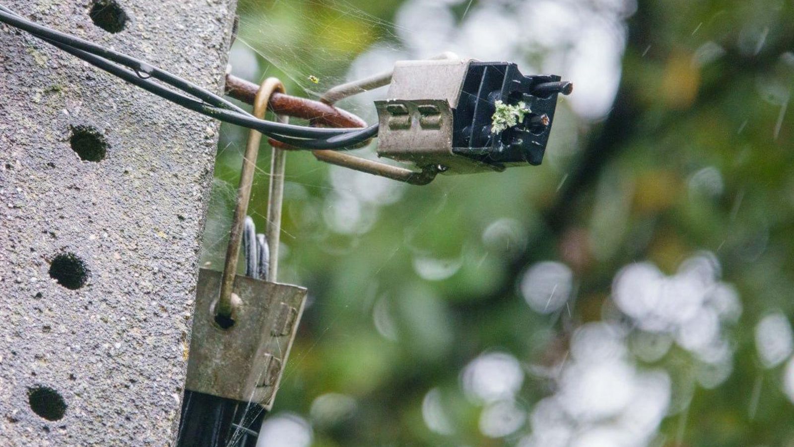 El cable del alumbrado fue cortado para conseguir cobre