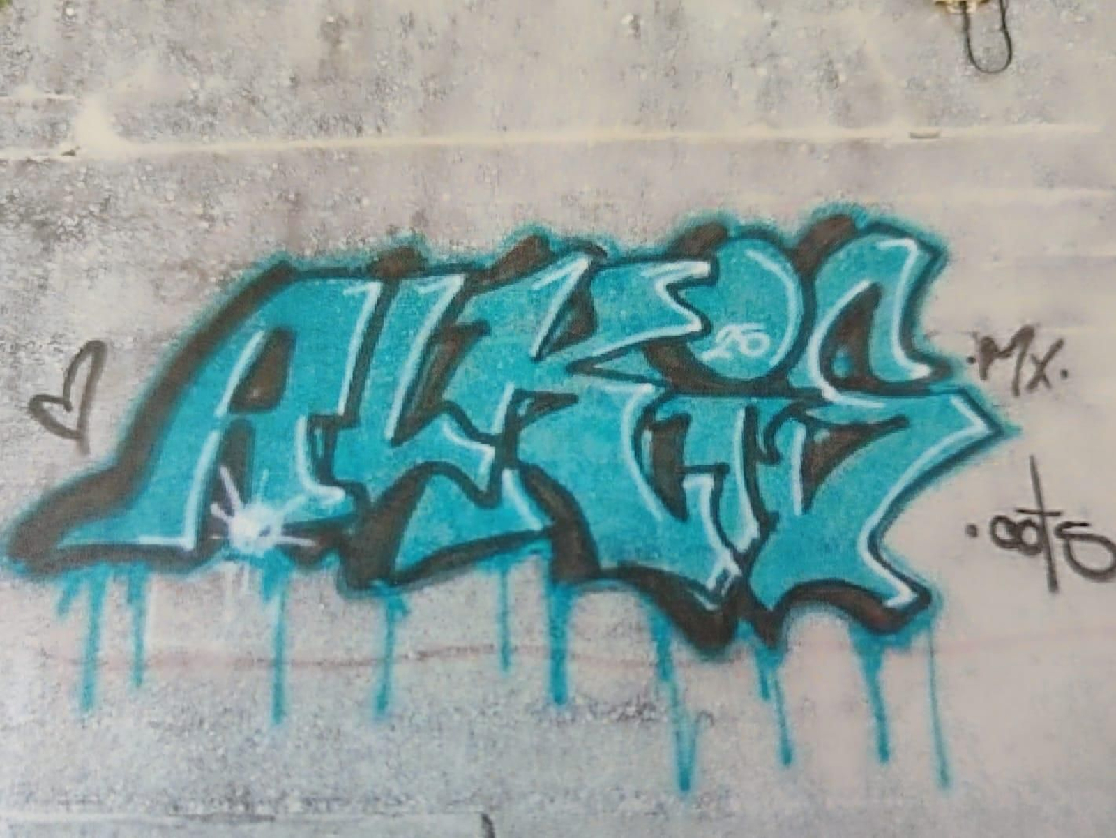 Uno de los grafitis que dañaron 7 bienes públicos y 14 privados