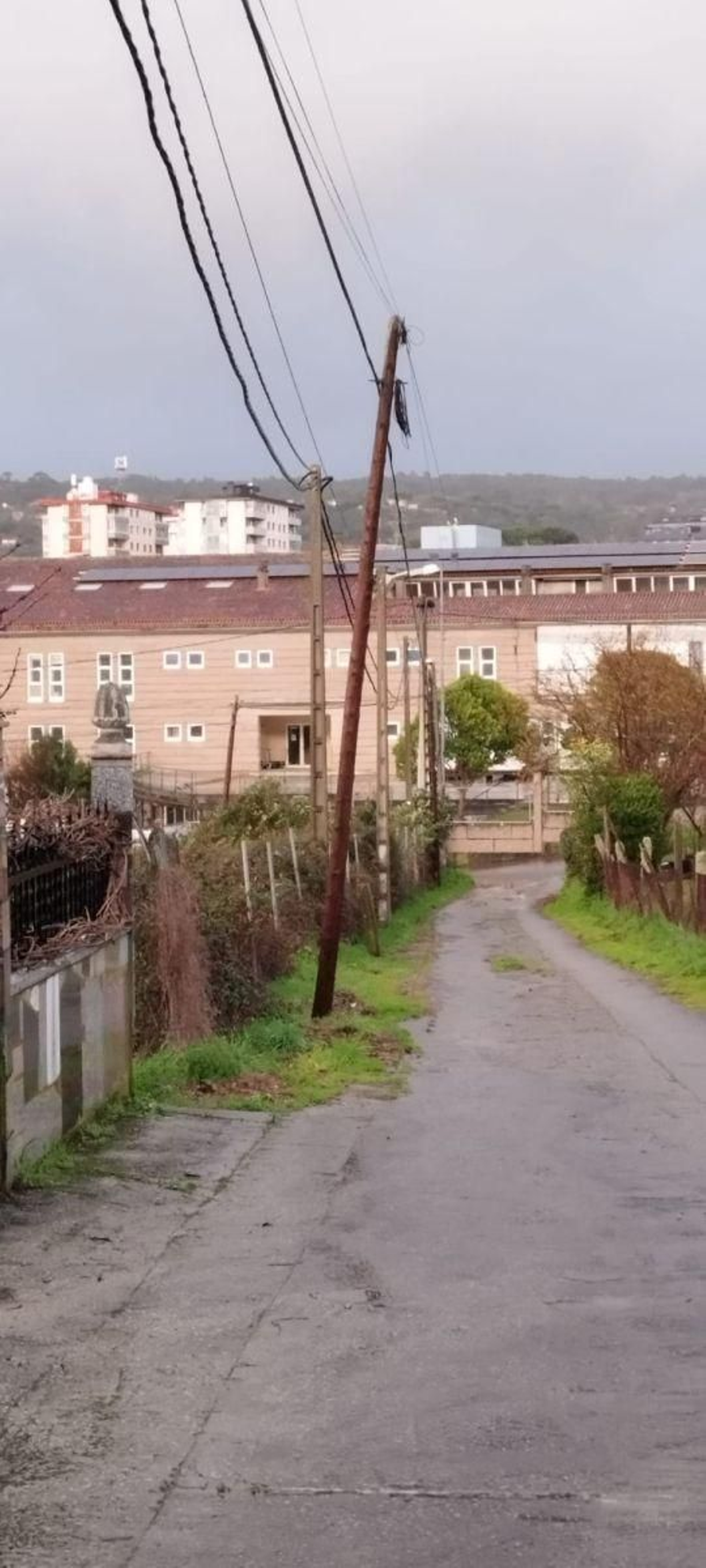 Un poste muy bailongo