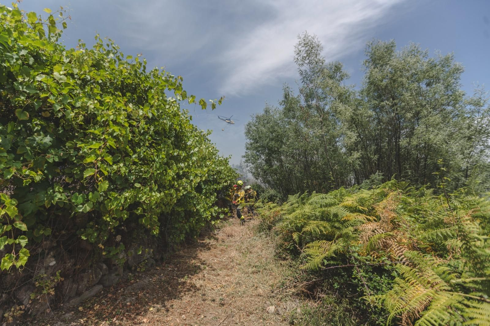 Galería | Los bomberos búlgaros trabajan en la extinción del incendio forestal de Untes, en fotos