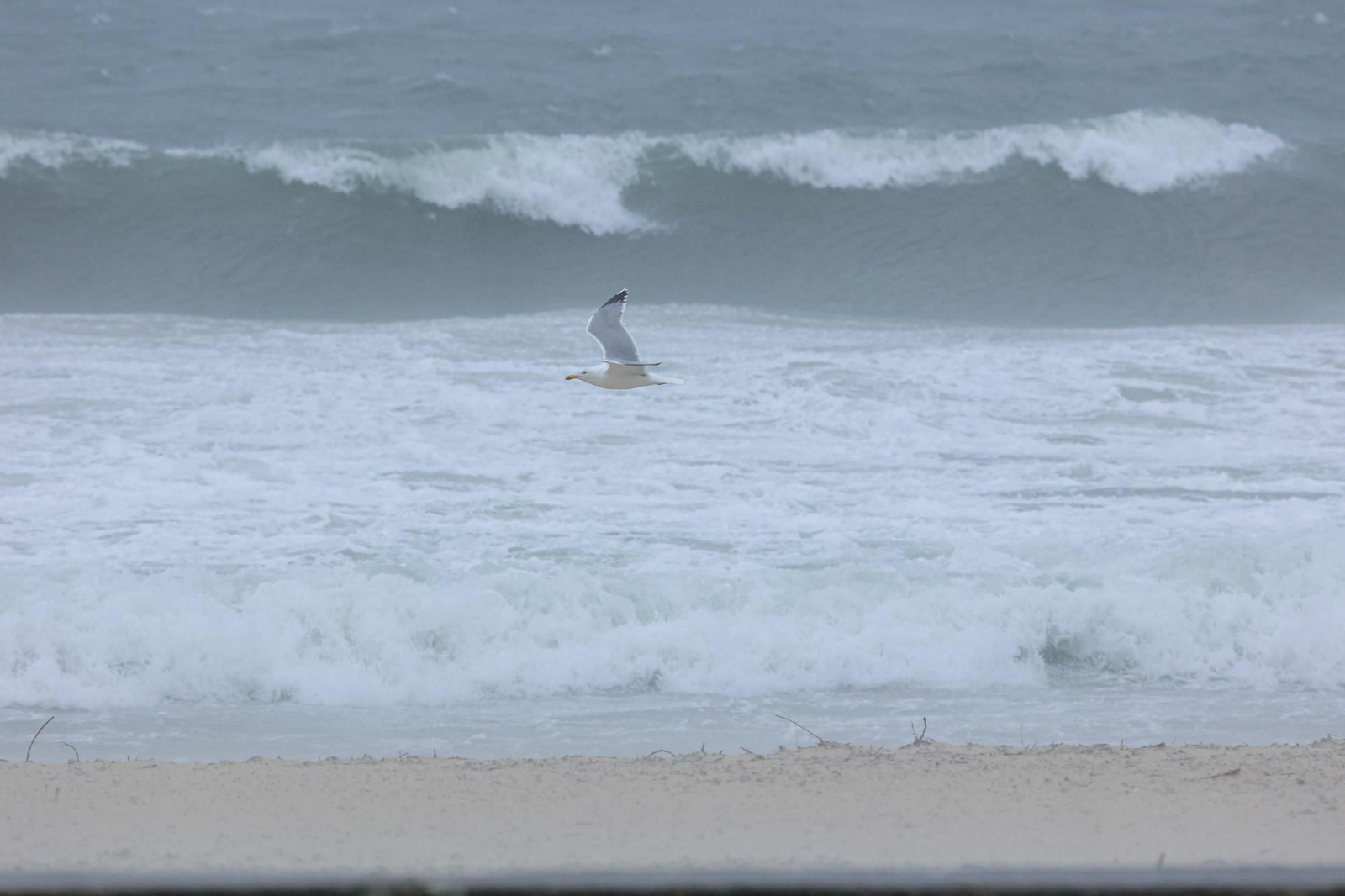 GALERÍA | Los estragos de la borrasca Herminia en Vigo