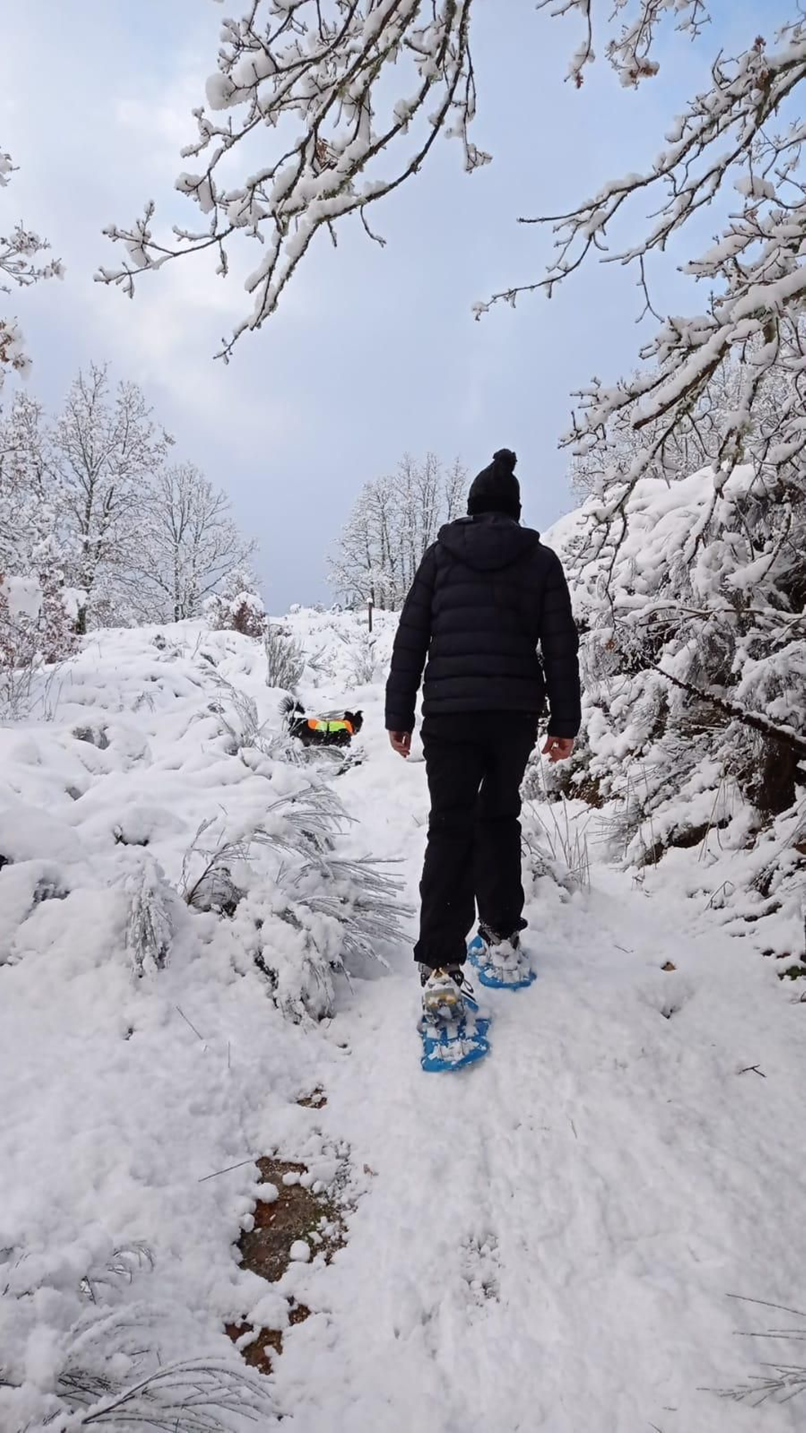 Nieve en Xares (A Veiga)