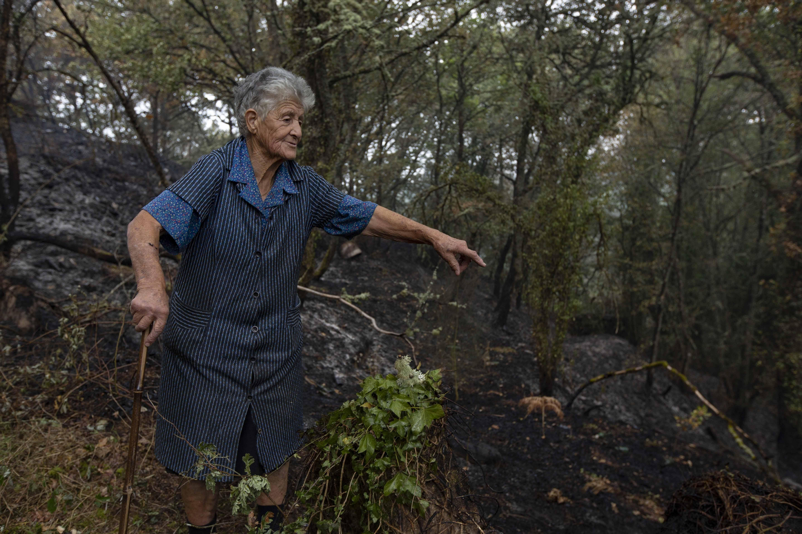 Estado del pueblo de Guillarei, en Rairiz de Veiga.