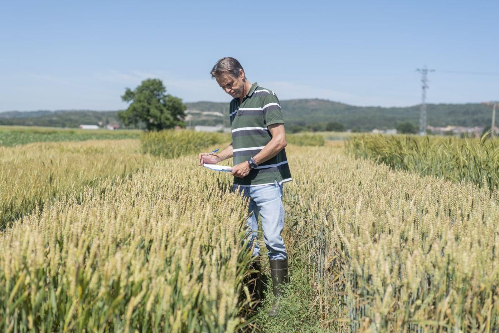 Luis Urquijo es el investigador al frente del proyecto del Centro de Investigaciones Agrarias de Mabegondo en A Limia.