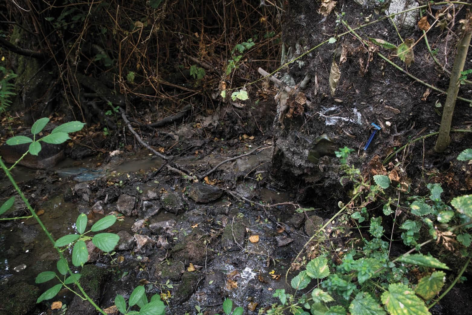 Los ríos de Mesón de Calvos o aboadela presentan un cauce prácticamente seco en el que se forman pequeñas charcas que se llenan con caños de procedencia desconocida de las que sale agua de color y olor nauseabundos. En pleno cauce, restos de plásticos y basura variada (ÓSCAR PINAL).