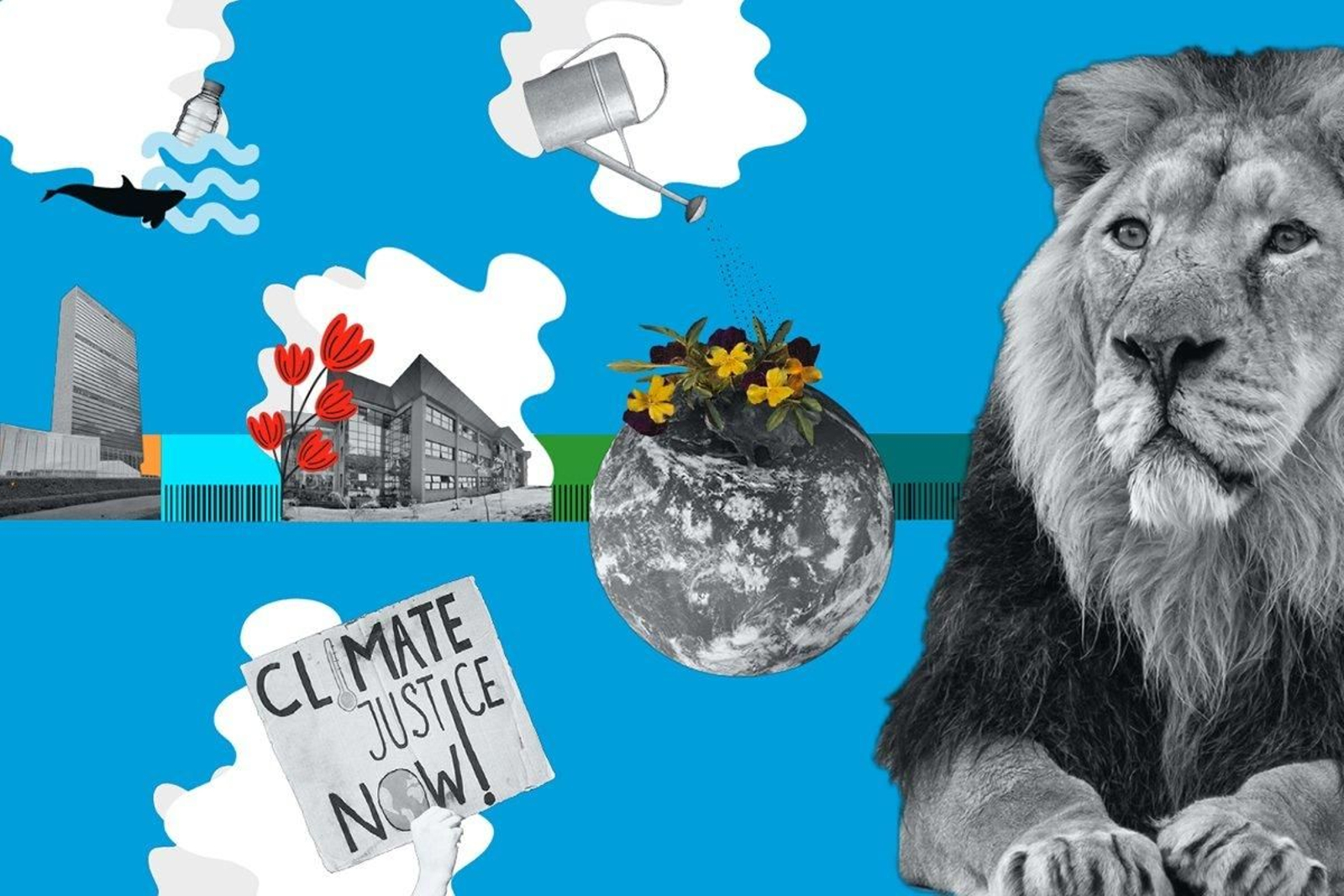 xornalescolar_2505_chuletas_01