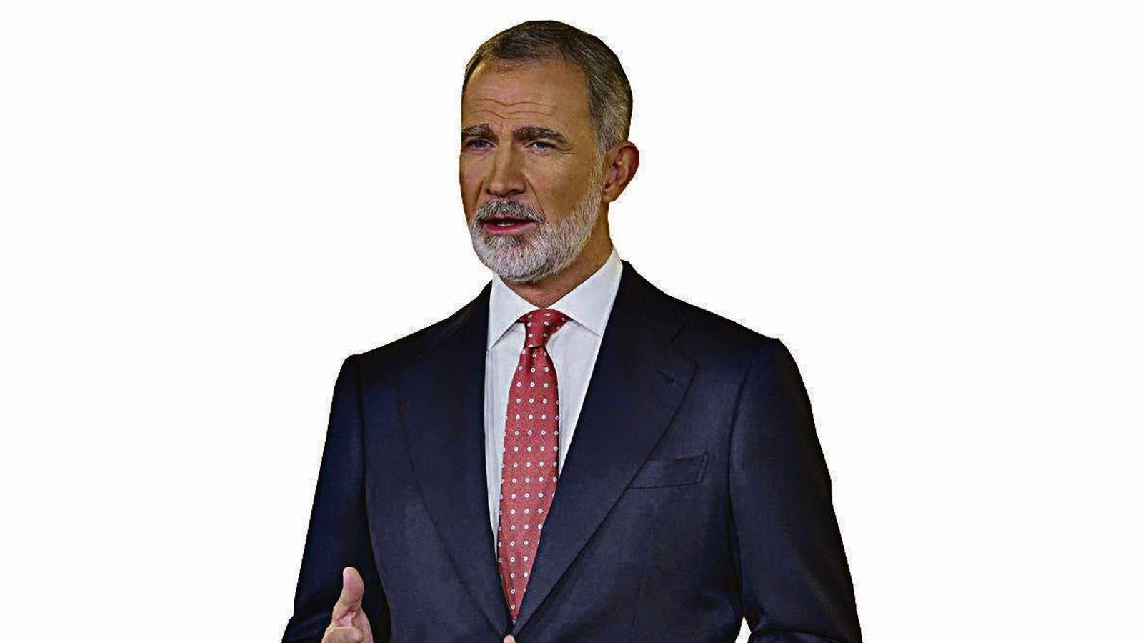 Rey Felipe VI