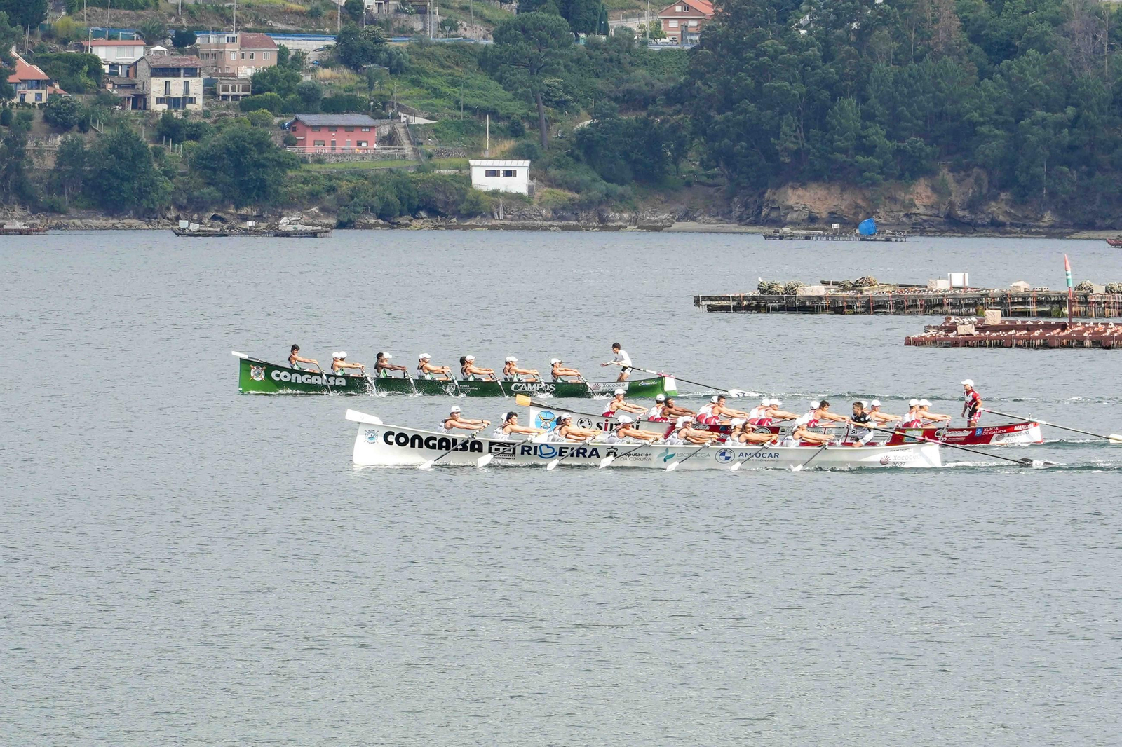 Galería | Las traineras se dan cita en el paseo de Cardona