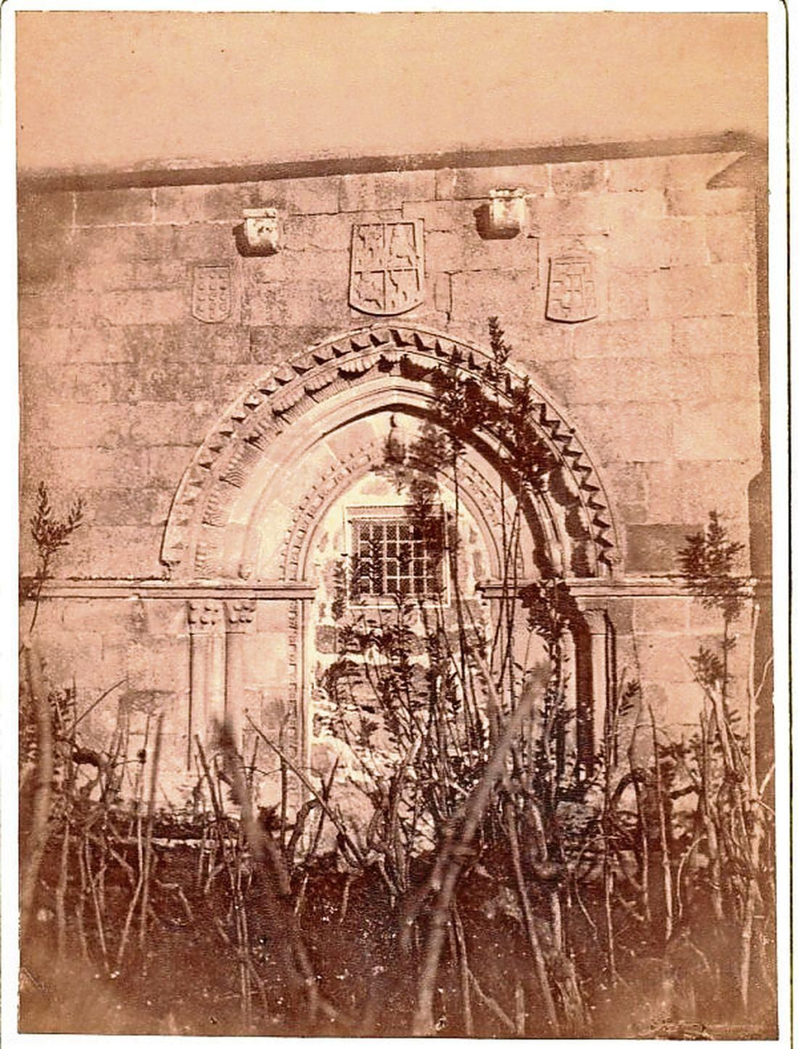 20200728184643148_resultado