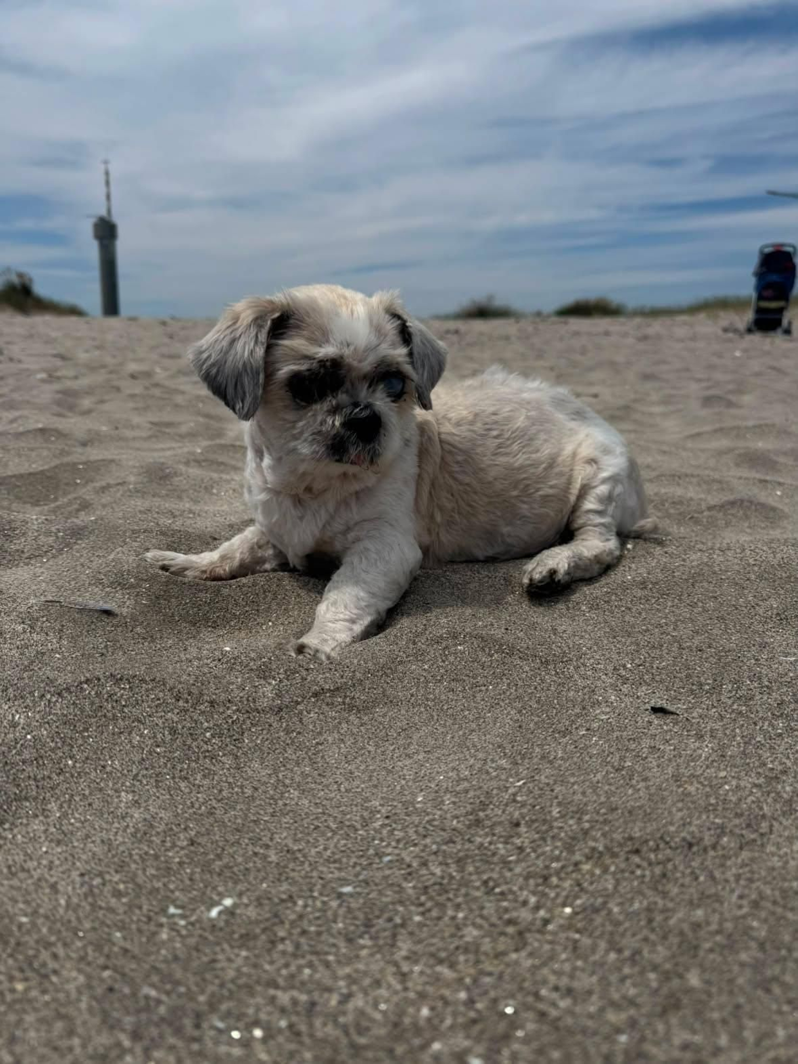 Lulú