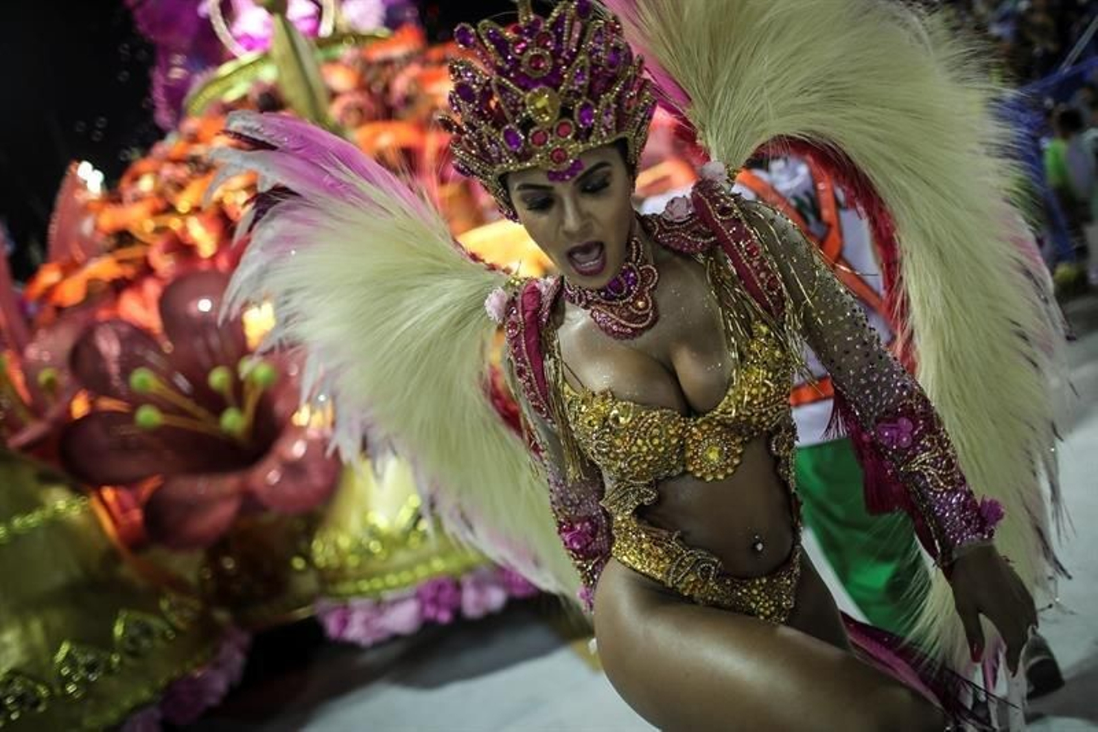 Celebración del carnaval en Río de Janeiro 06