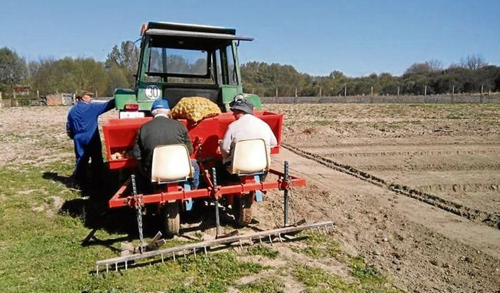 Varios agricultores preparan la siembra de patata en una finca de A Limia.