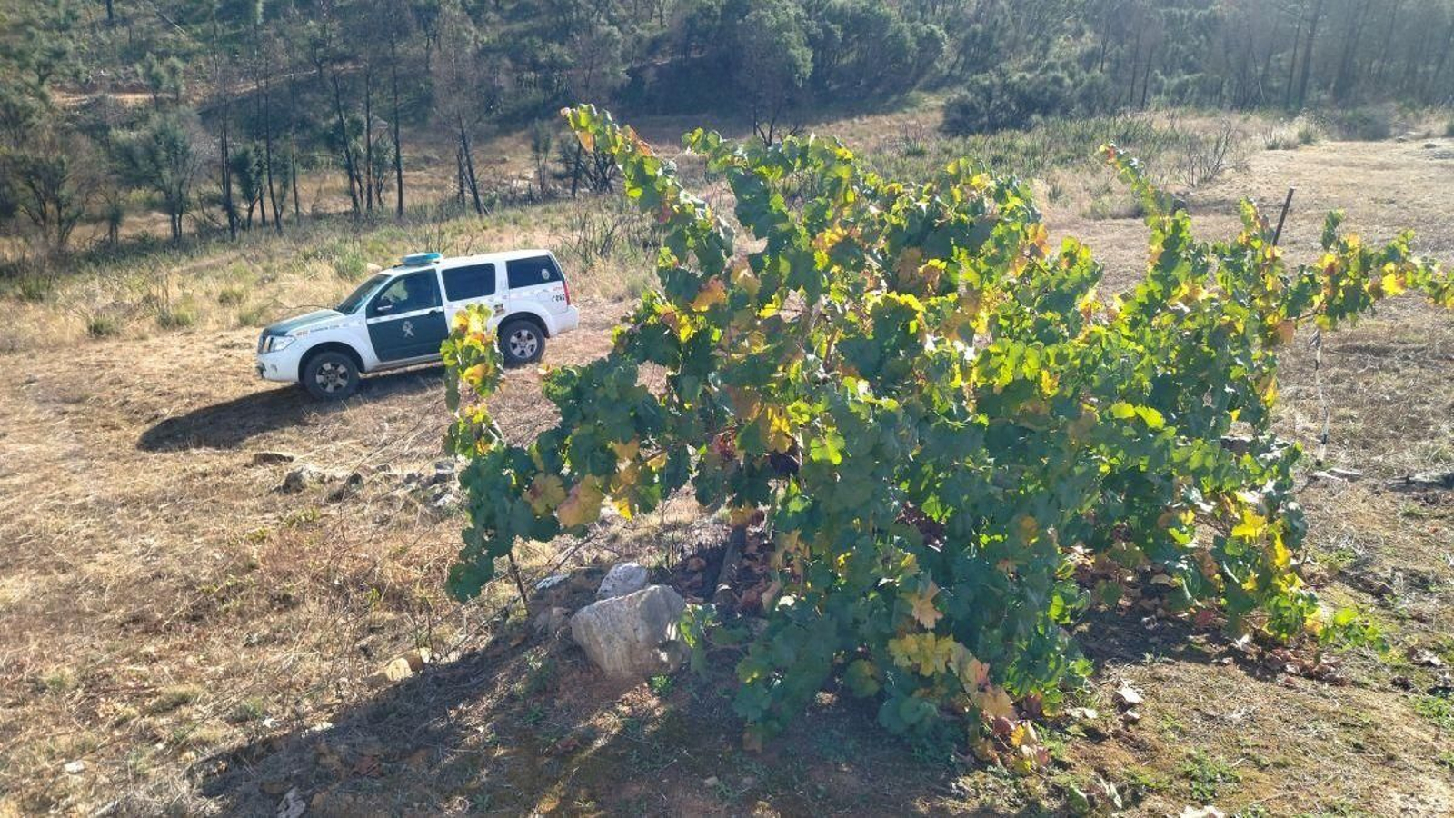 Un coche de la Guardia Civil, en el lugar donde permanecía el cadáver.