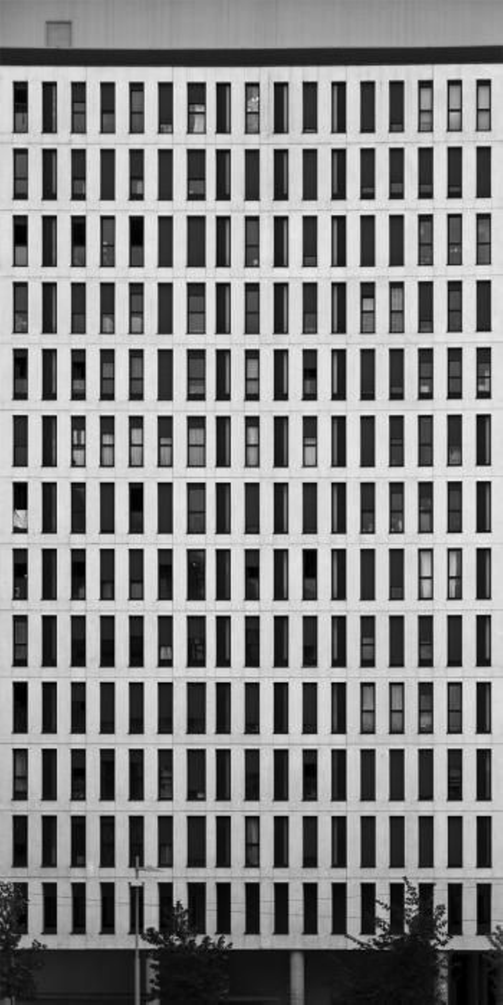 Roi Alonso Padín: edificio en Navia. Estarán no COAG o día 13.