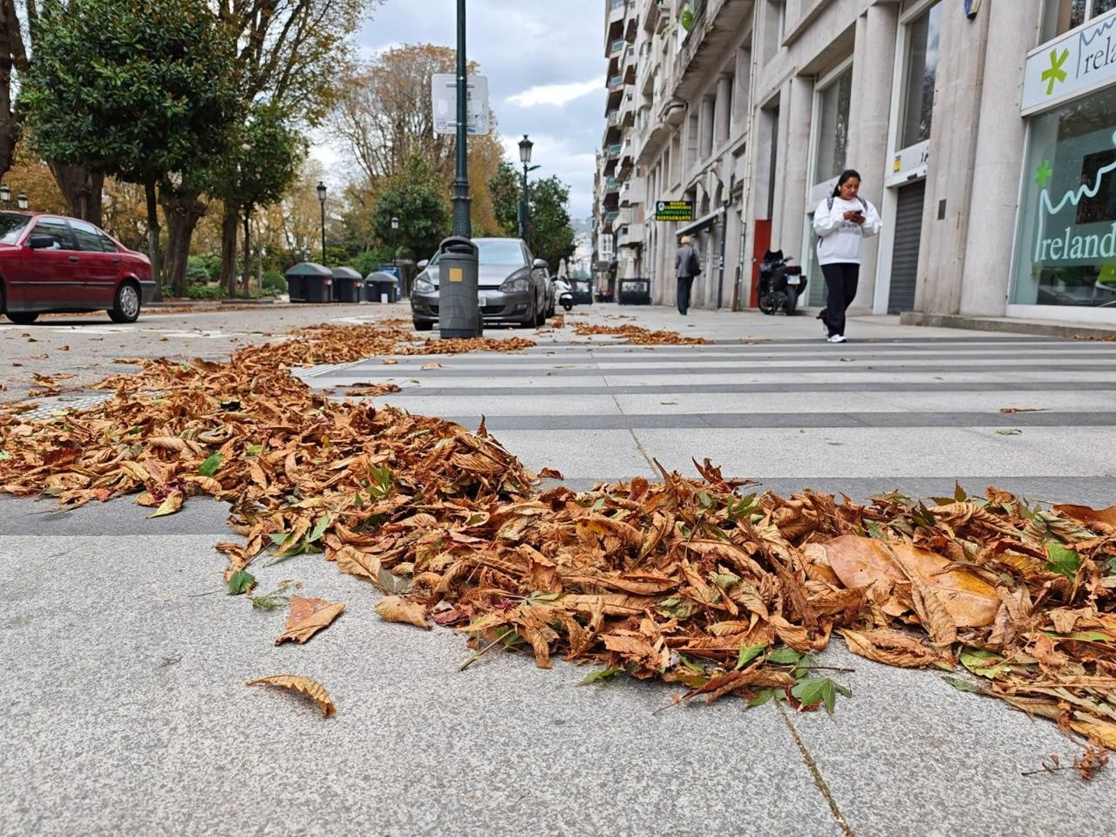 Galería | Árboles y mobiliario urbano sufren el primer temporal del otoño en Vigo