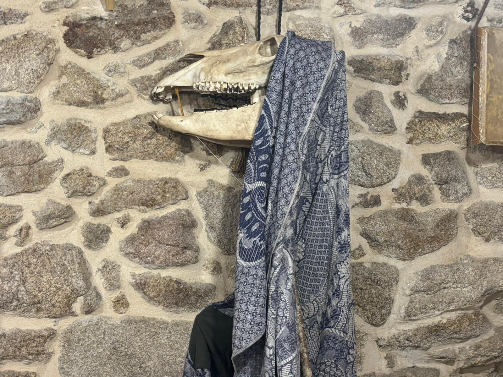 La Rinchona aparecerá por primera vez el próximo 24 de enero.