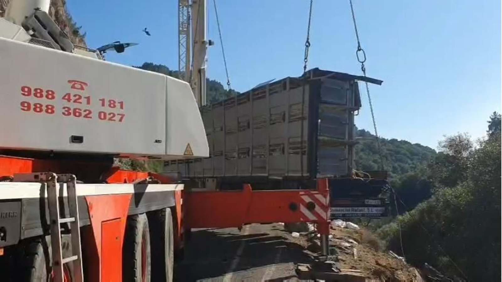 Galería | Así fue el accidente de un trailer en la N-120 que se saldó con varios cerdos flotando en el río  Miño, en fotos
