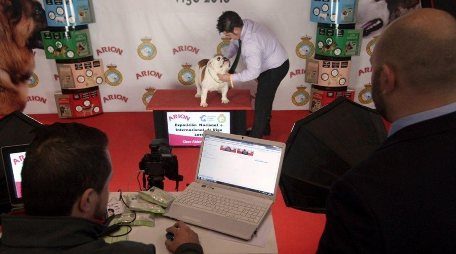 Exposición Canina en el Ifevi Foto Vicente16