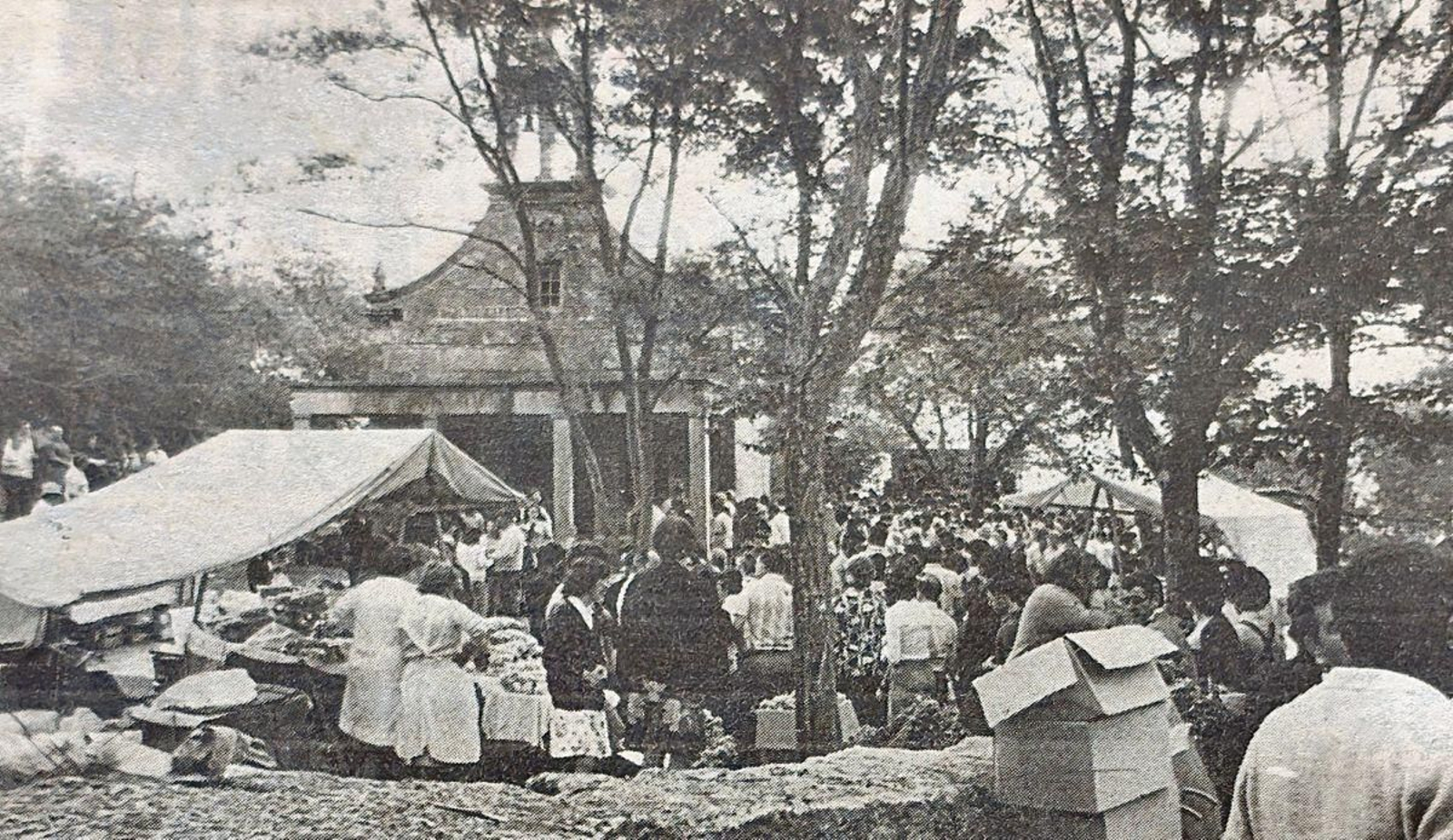 Romería de San Benitiño de Coba de Lobo.
