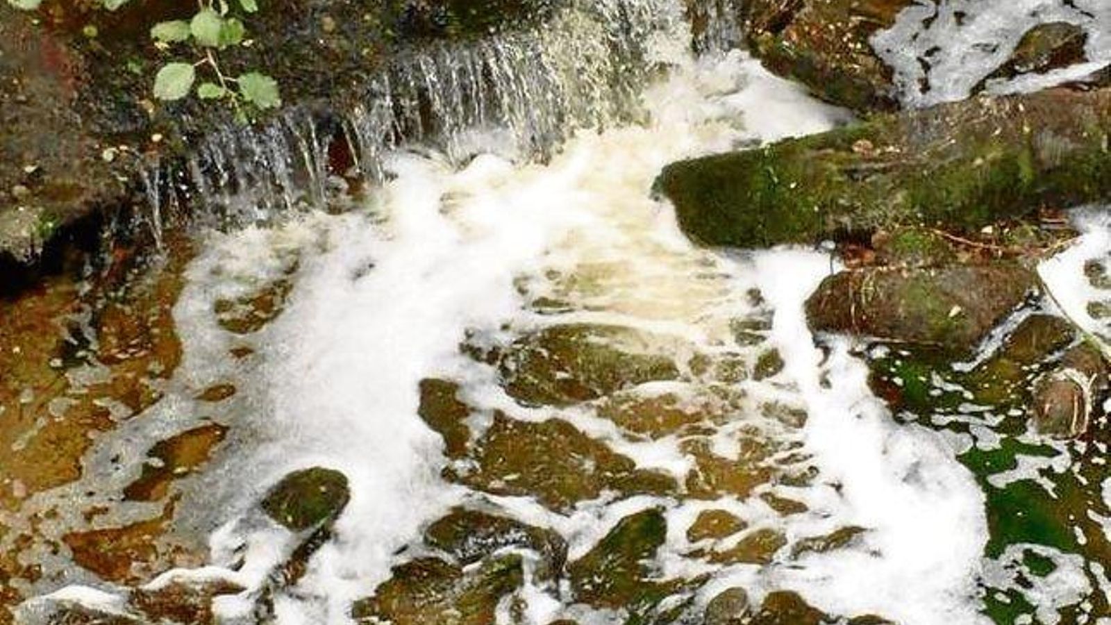 20190608152050785_result