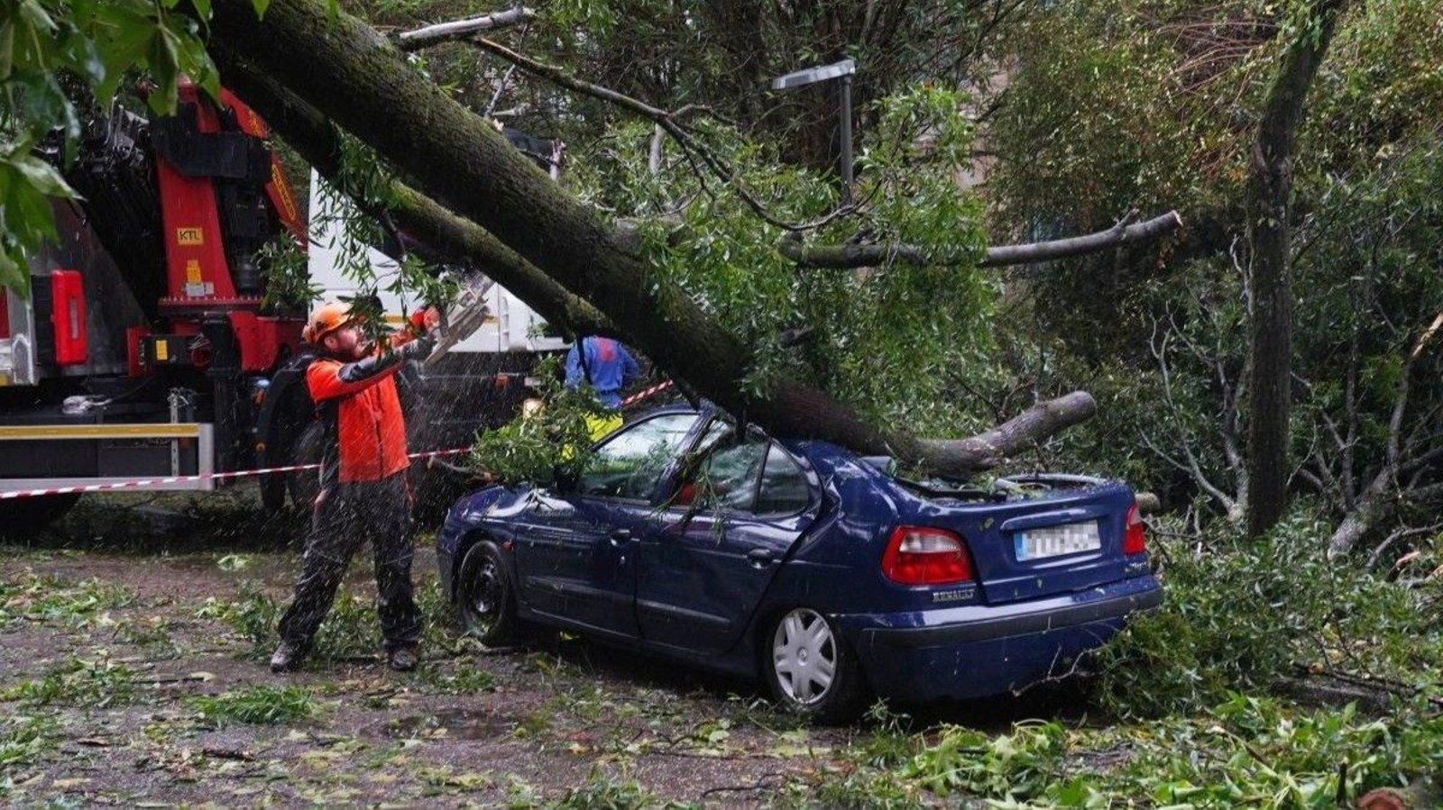 Un árbol caído sobre un coche en Santiago.