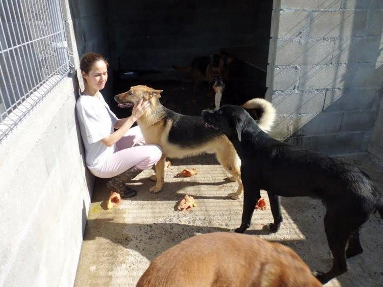 Graciela Daparte con varios perros en las instalaciones de la perrera municipal.
