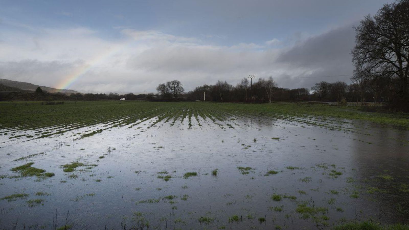 Campos anegados en la comarca de A Limia por la sucesión de borrascas.