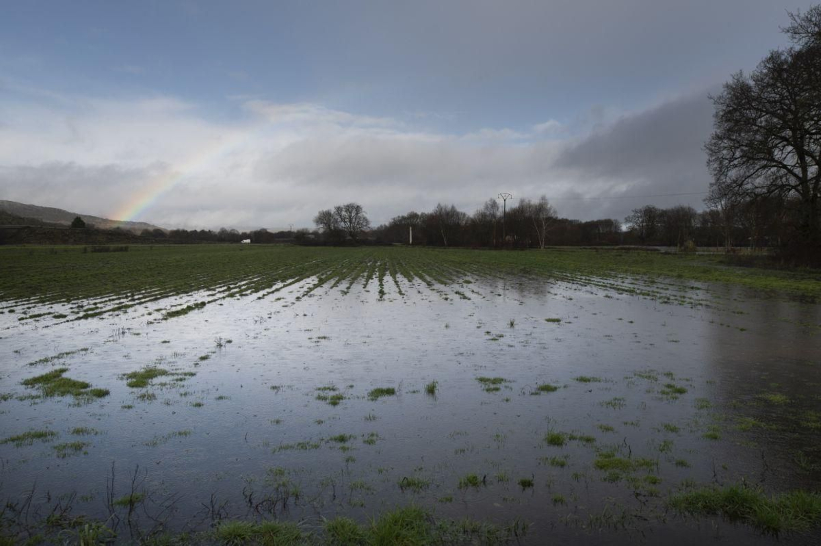 Campos anegados en la comarca de A Limia por la sucesión de borrascas.