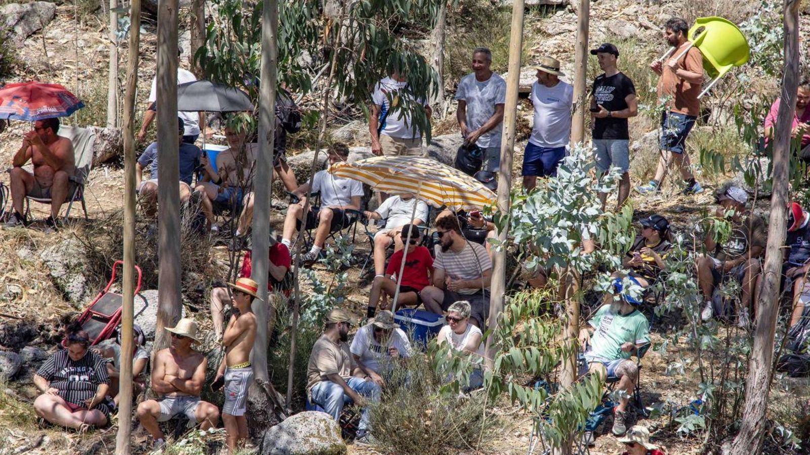 El público, buscando los huecos con sombra.