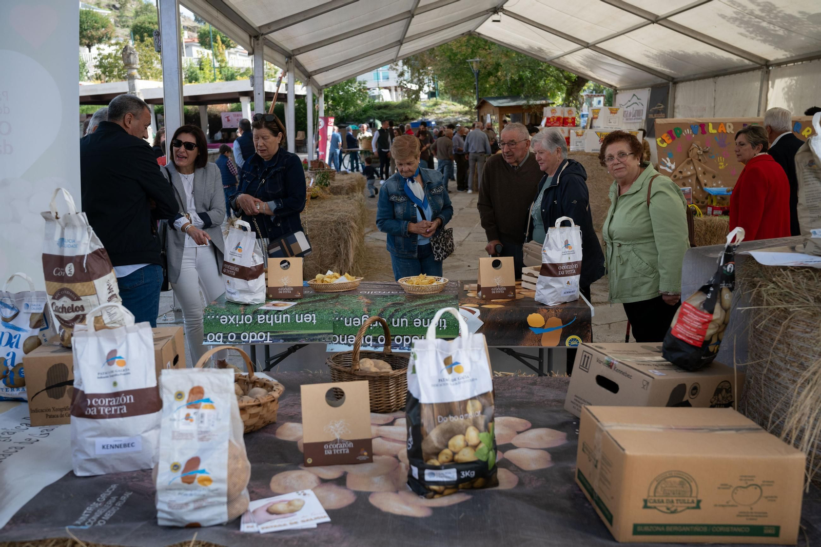 Galería | Vilar de Barrio disfruta un año más con al Festa da Pataca