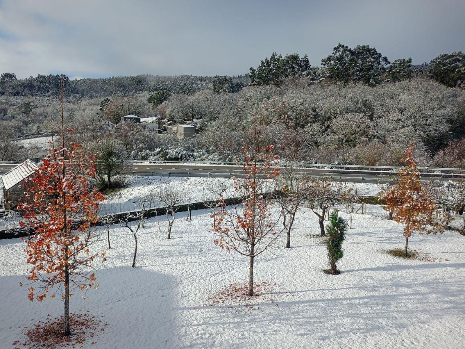 Galería | La nieve da la bienvenida al invierno en A Cañiza