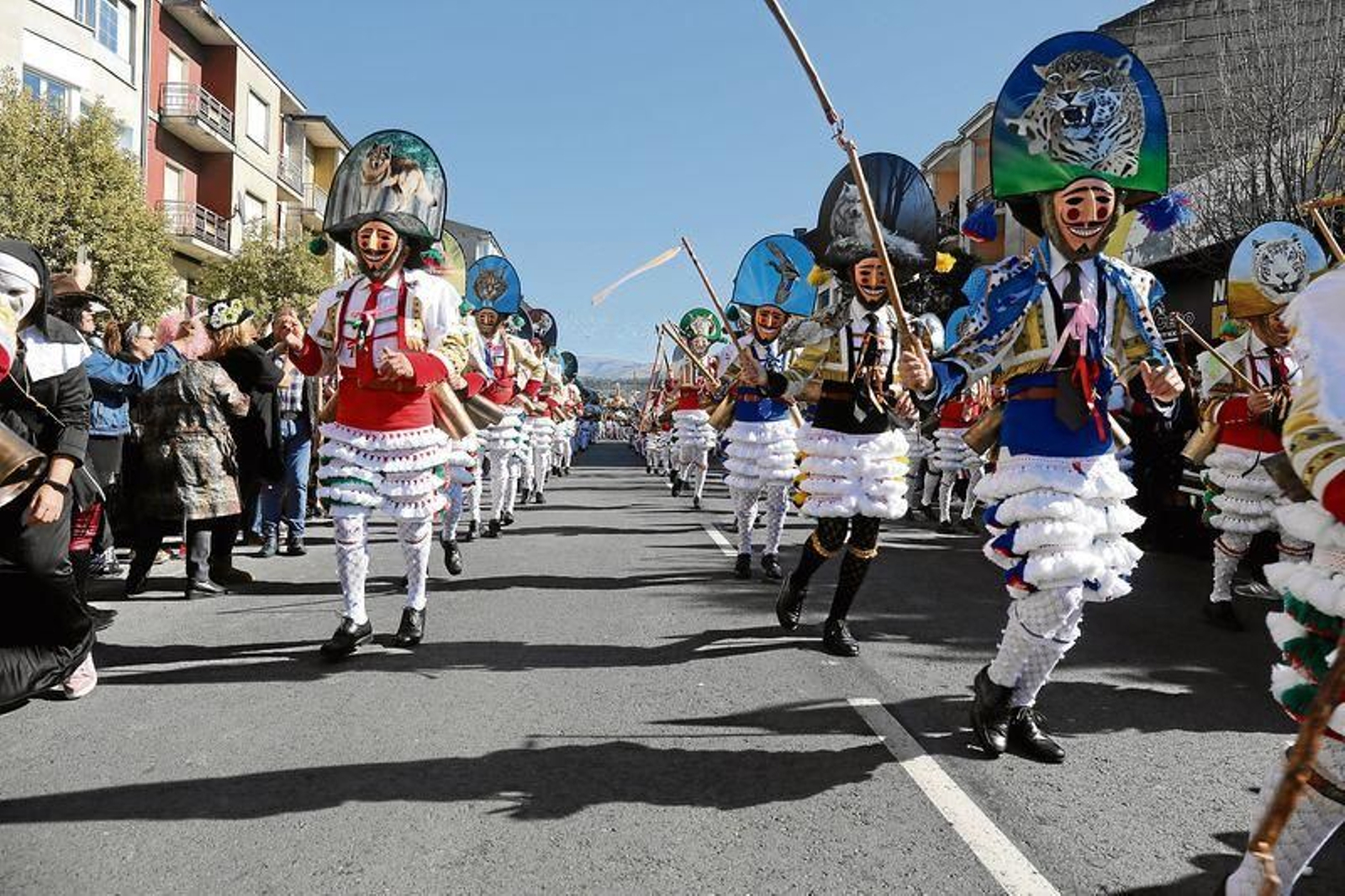 Los imponentes cigarrones lideraron el desfile verinense.