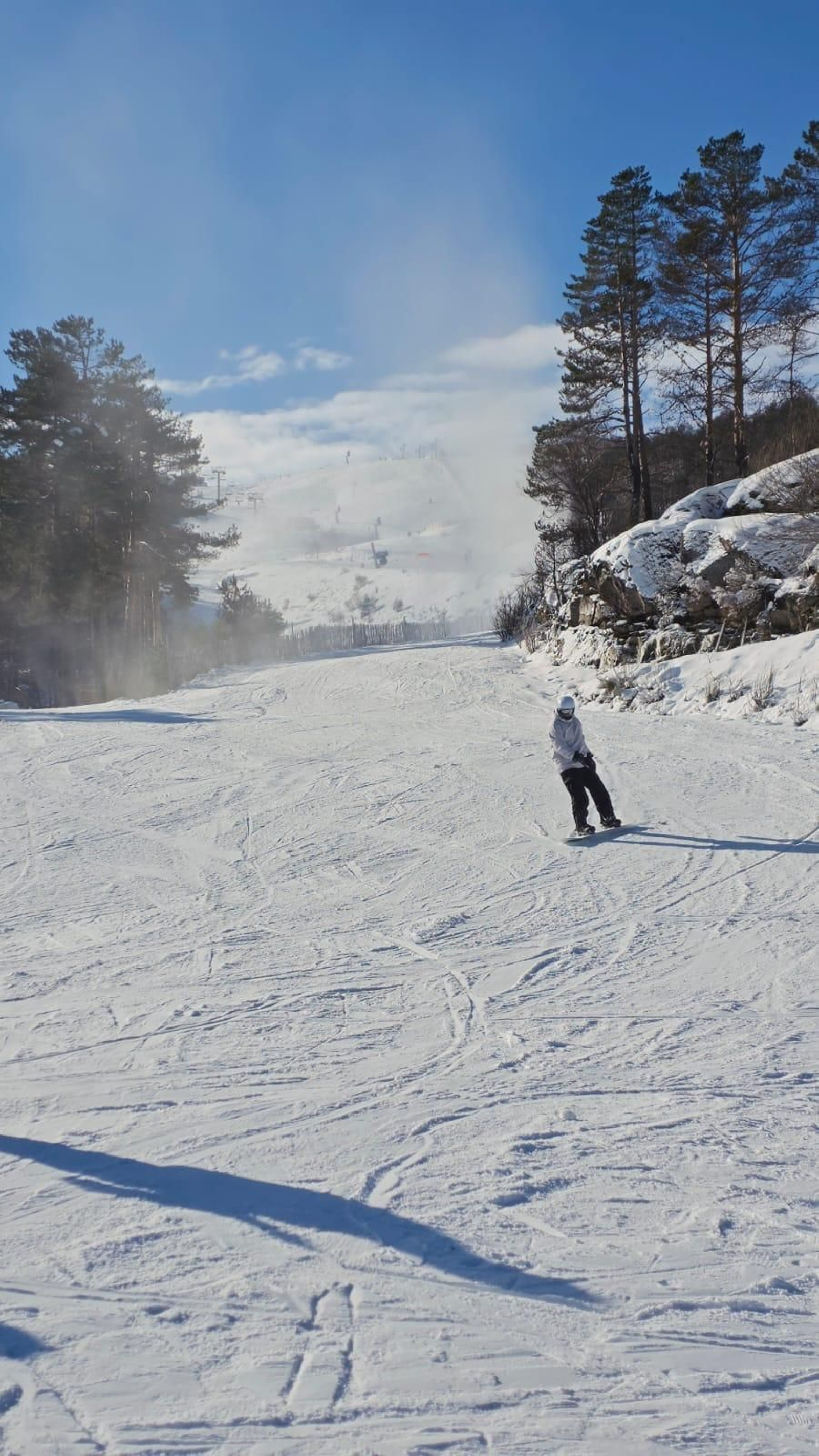 WhatsApp Image 2025-12-26 at 16.45.44 (1).jpeg