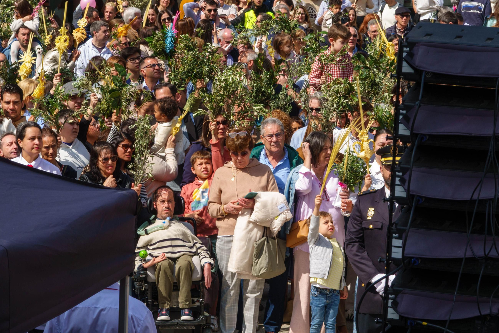 Galería | La procesión de la Borriquita 2025