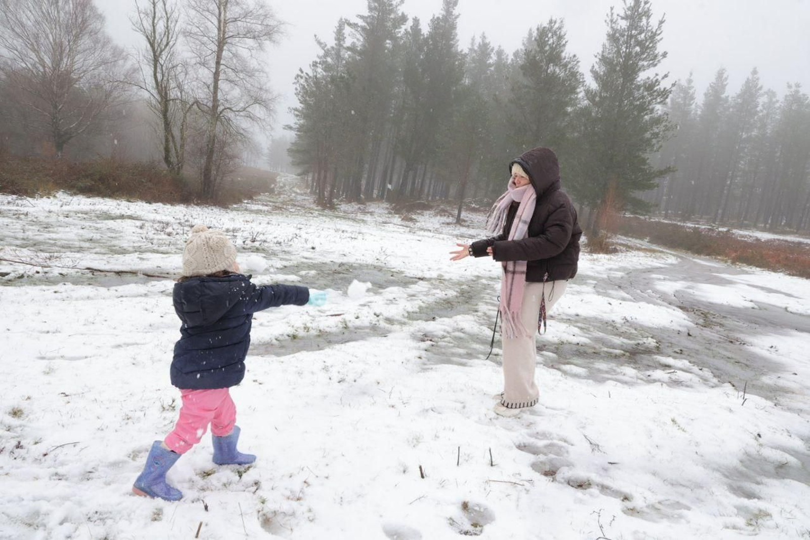 Galería | Los estragos de la borrasca Ingrid en Vigo y su área