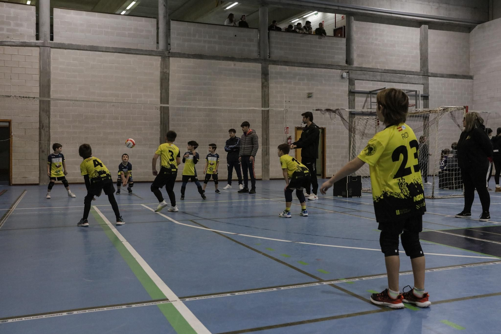 Galería | Voleibol, en fotos