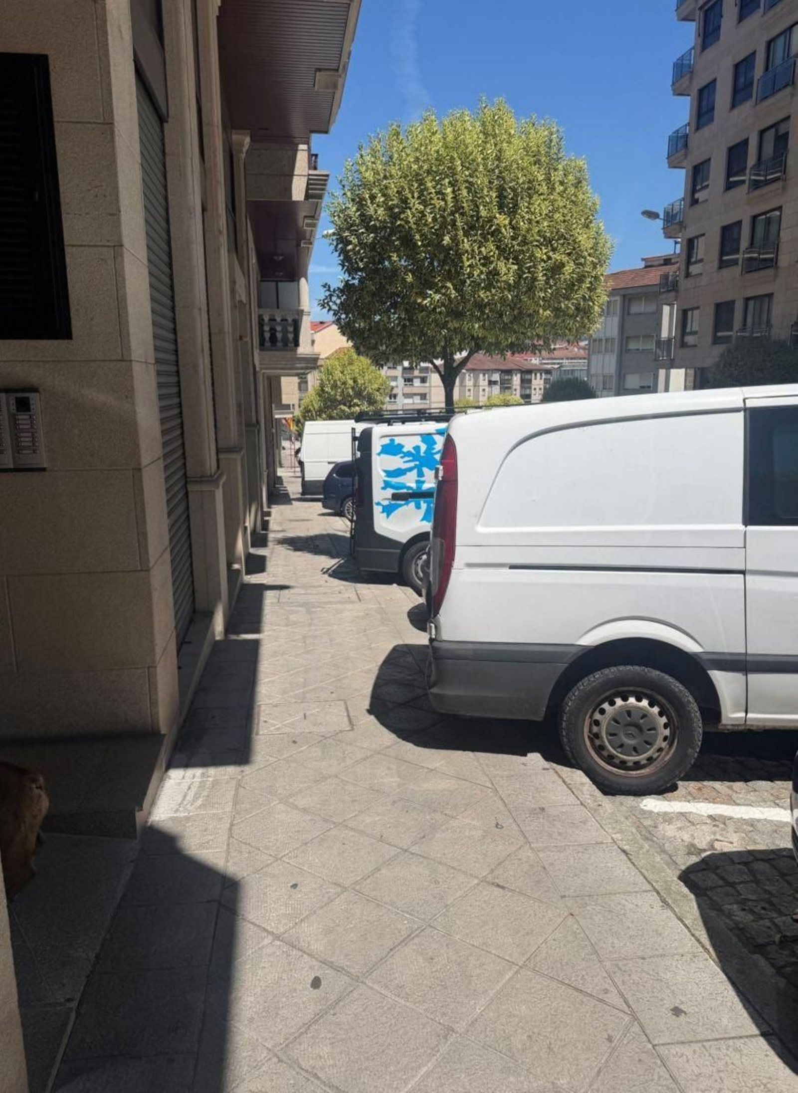 Aparcamientos en la calle Dalí