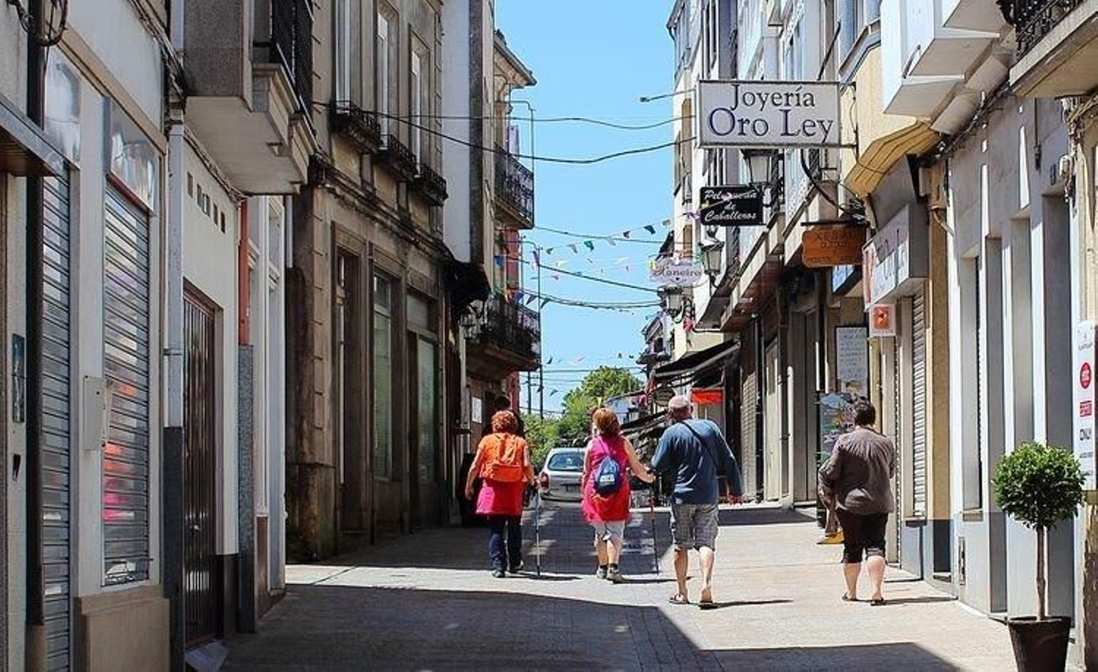 Peregrinos en el camino francés.