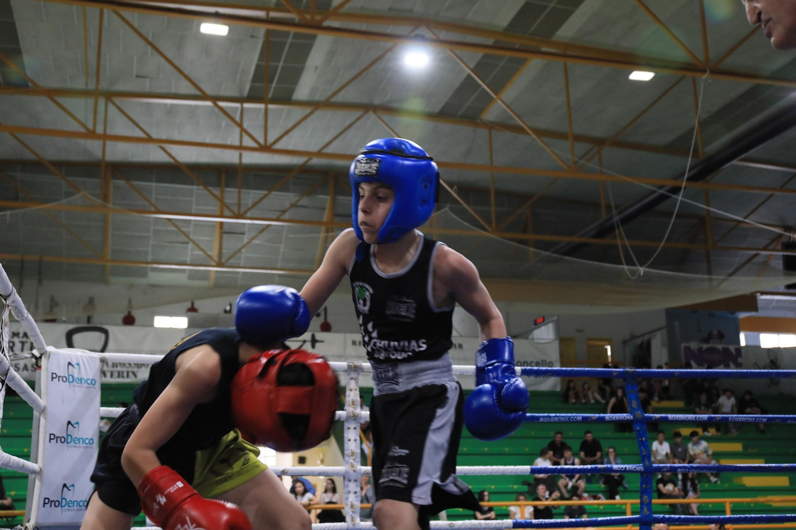 Galería | Verín disfruta de su primer Open de Boxeo