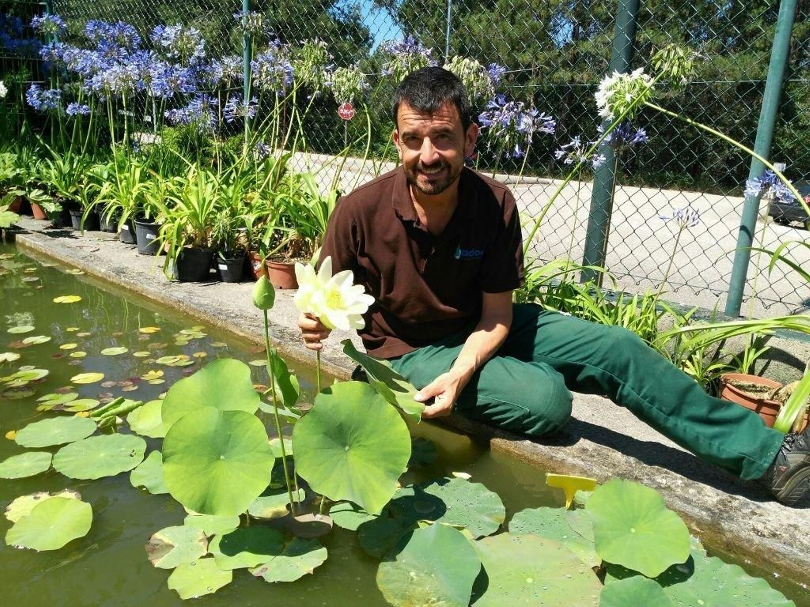 Oliver Weiss muestra la flor de Loto que abrió hace unas noches en los viveros Adoa.