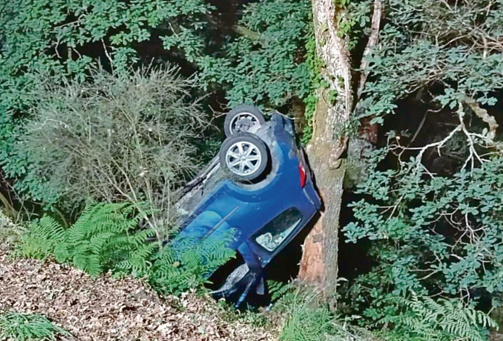 El coche siniestrado chocó contra un árbol en la PO-244.