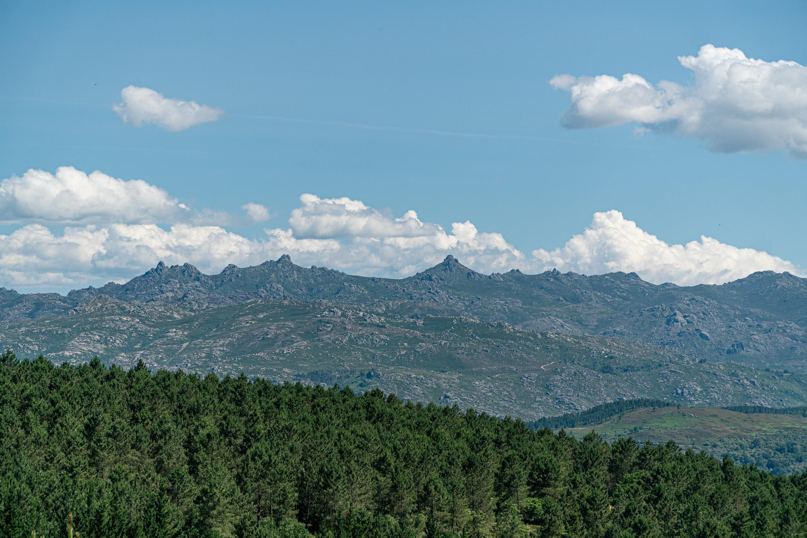 O Xurés