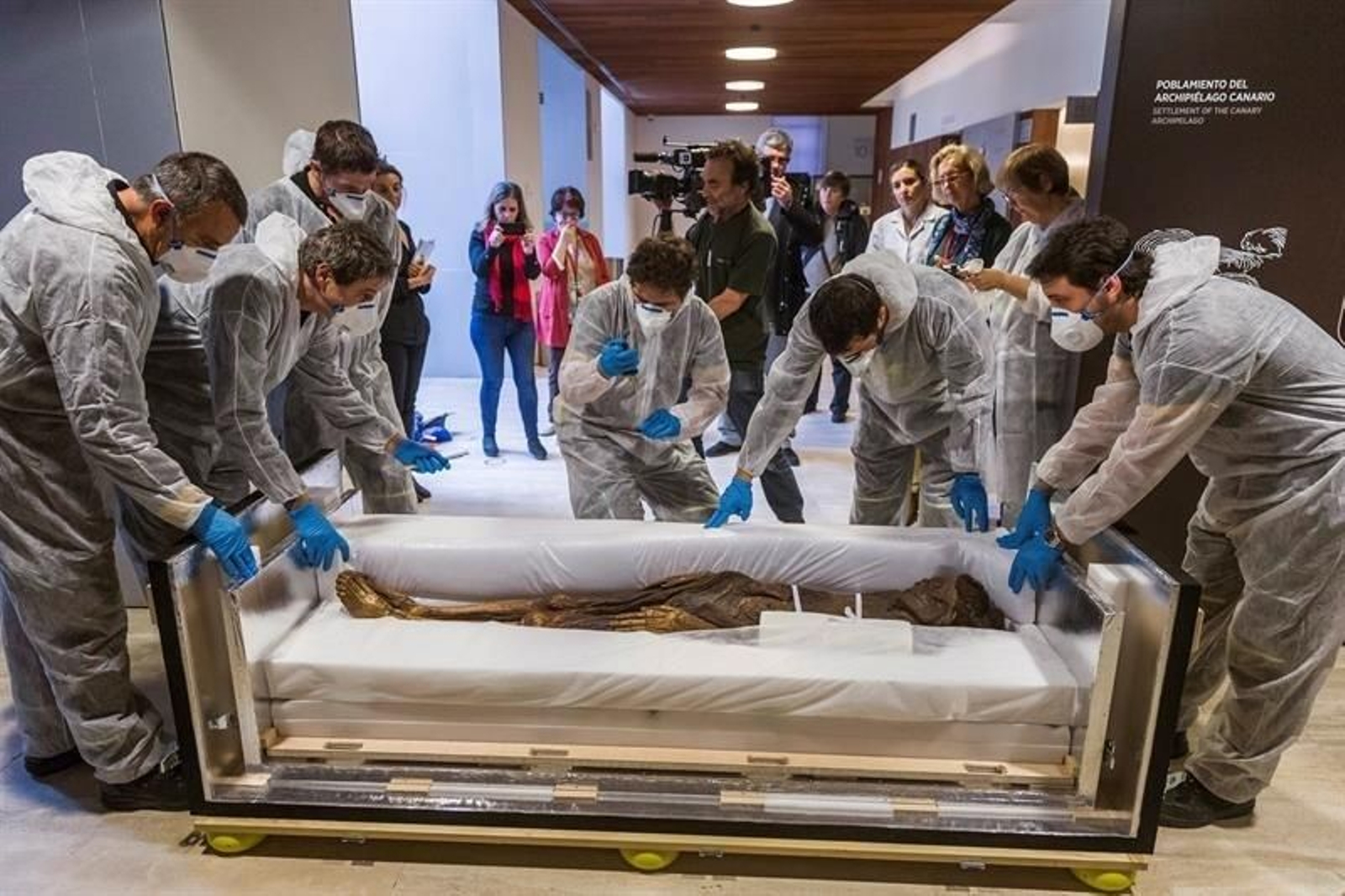 La momia Guanche a su llegada al Museo Arqueológico.